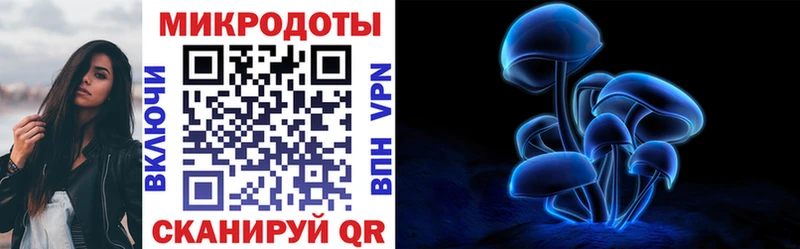 Псилоцибиновые грибы Cubensis  купить наркотики цена  Нерчинск 